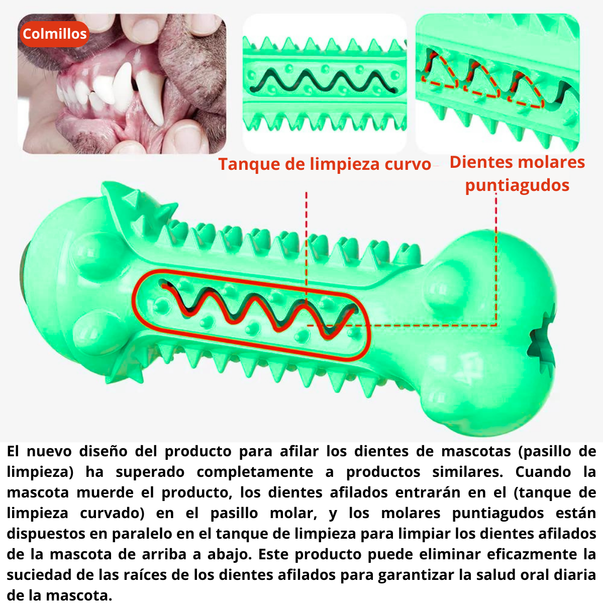 Juguete Masticable Para Perros - Cerdito Verde