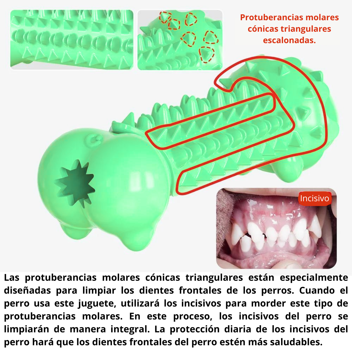 Juguete Masticable Para Perros - Cerdito Verde