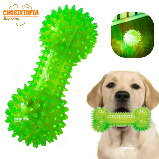 JUGUETE PARA PERROS HUESO ELÁSTICO SONORO BRILLANTE VERDE