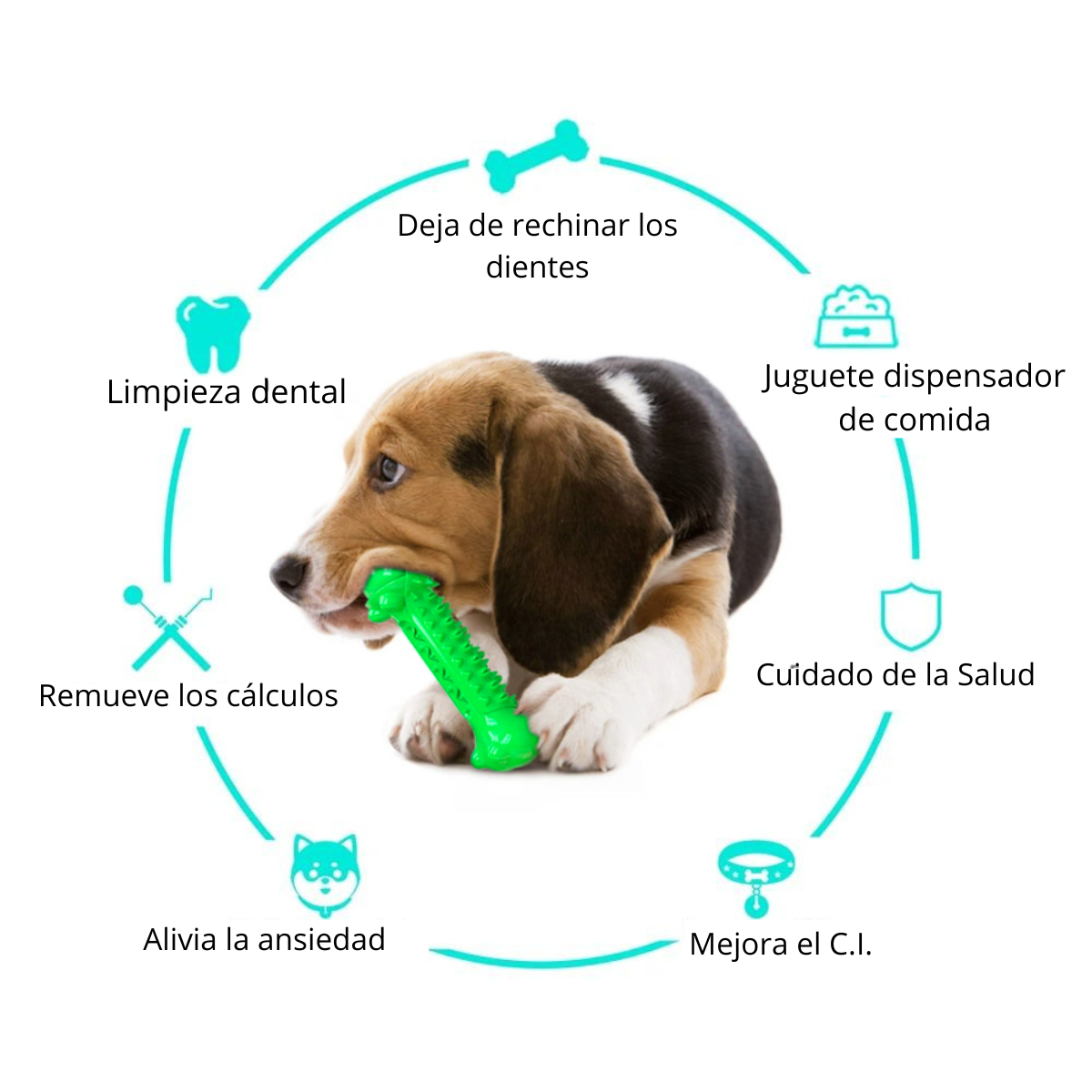 Juguete Masticable Para Perros - Cerdito Verde