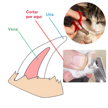 CORTA UÑAS TIJERA Y LIMA PARA GATOS  Y PERROS - MASCOTA ROJO