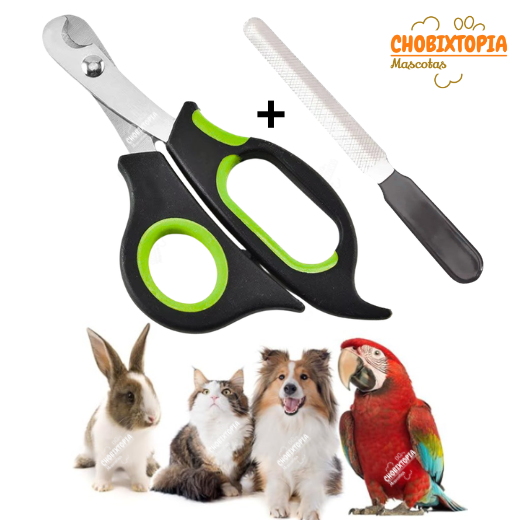 CORTAUÑAS TIJERA Y LIMA GATOS Y PERROS-MASCOTA VERDE NUNBELL BORDE-PEQUEÑO