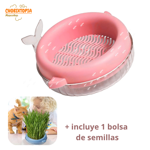 HIERBA GATERA MACETA BALLENA PARA GATOS - ROSA SALMON