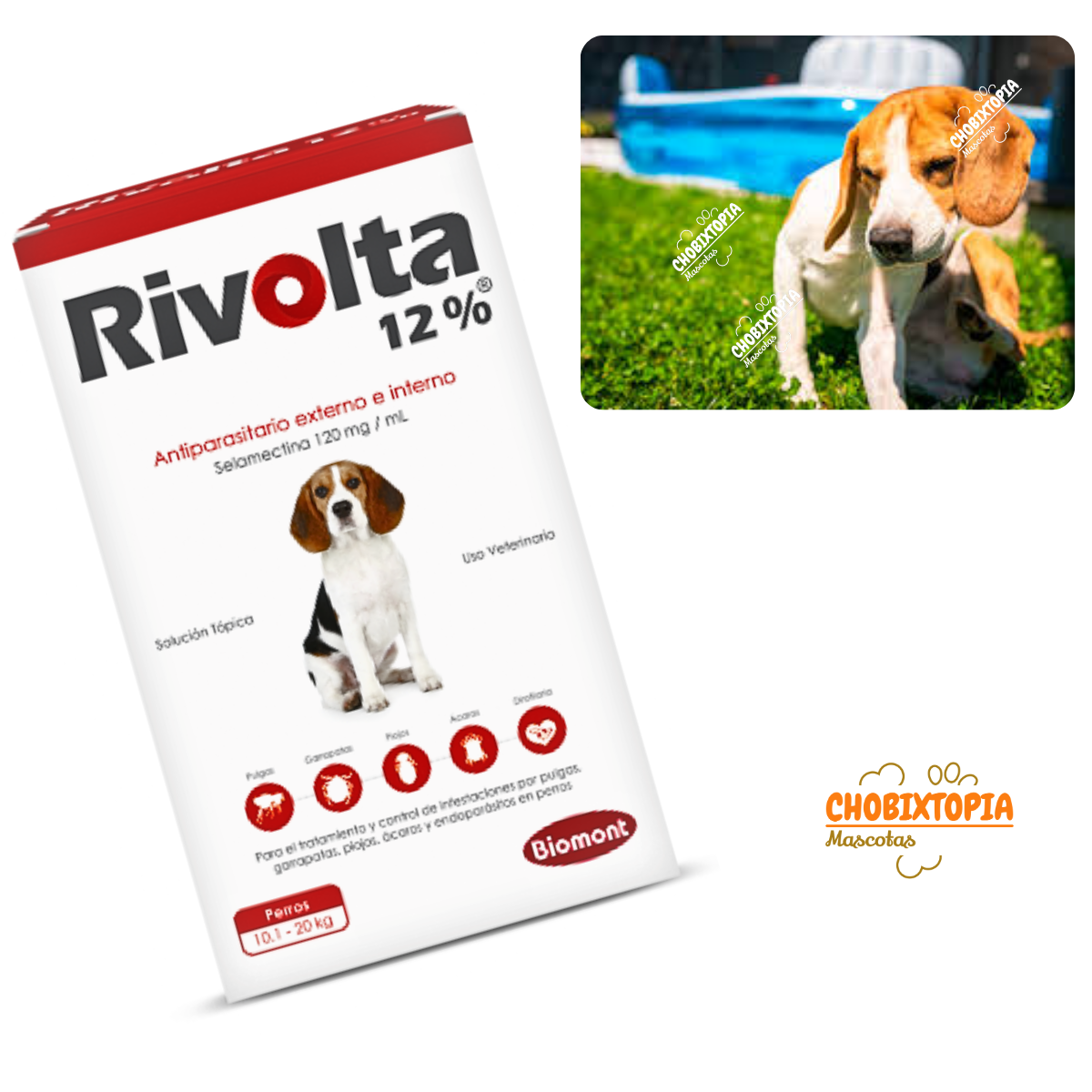 RIVOLTA 12% PERROS 10.1 A 20KG   ROJO