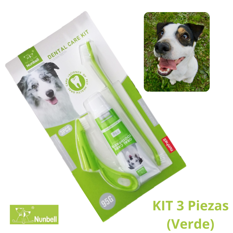 PASTA DENTAL CARE KIT X 3 VERDE