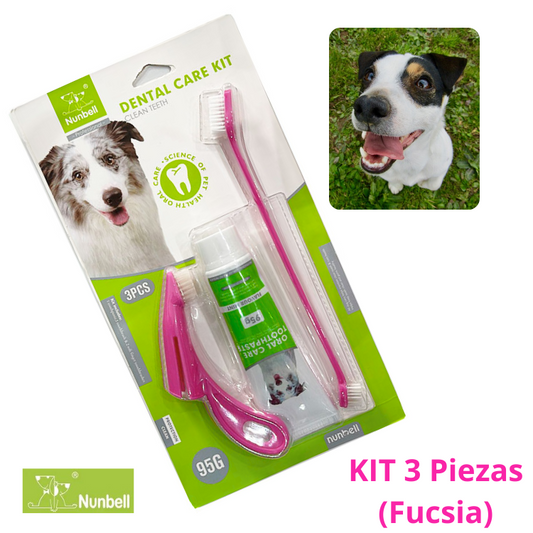 PASTA DENTAL CARE KIT X 3 FUCSIA