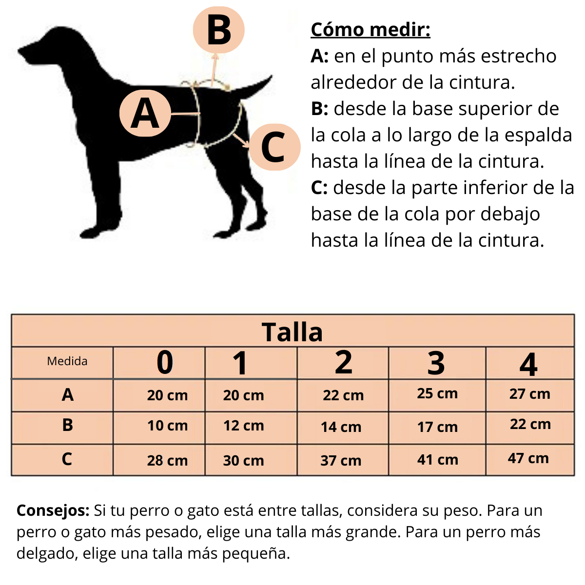 CALZONES DE ALGODÓN PARA PERROS Y GATOS - MASCOTA TALLA 0