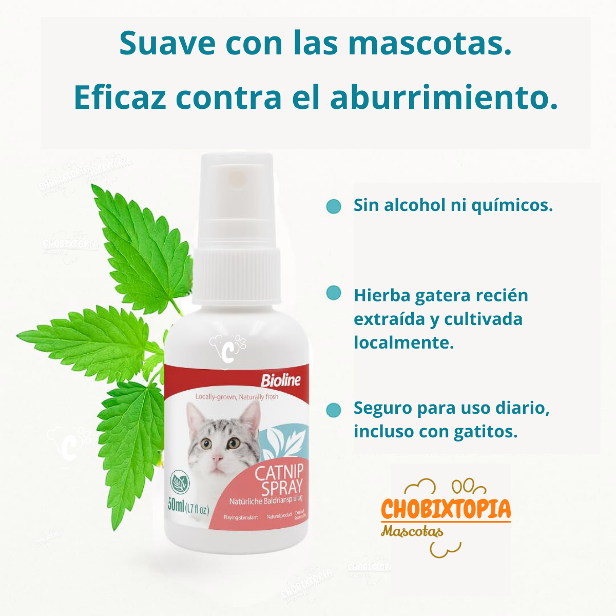 HIERBA GATERA SPRAY PARA RASCADORES, JUGUETES, CAMAS Y ADIESTRAMIENTO DE GATOS