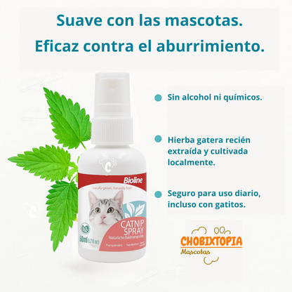 HIERBA GATERA SPRAY PARA RASCADORES, JUGUETES, CAMAS Y ADIESTRAMIENTO DE GATOS