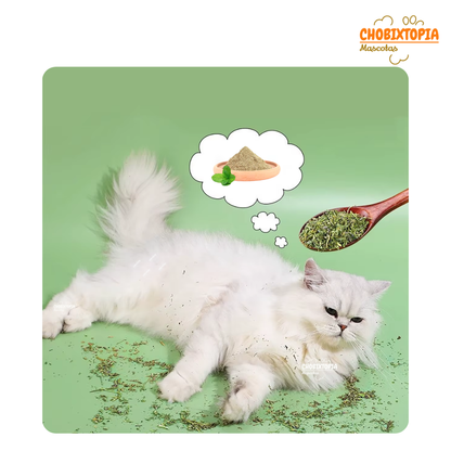 CATNIP PARA GATO EN BOLSA FORMA DE BOTELLA x 10 g