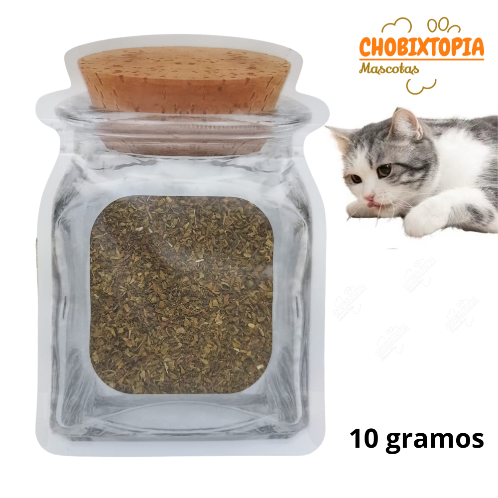CATNIP PARA GATO EN BOLSA FORMA DE BOTELLA x 10 g