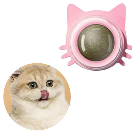 CATNIP CARA GATO ROSADA