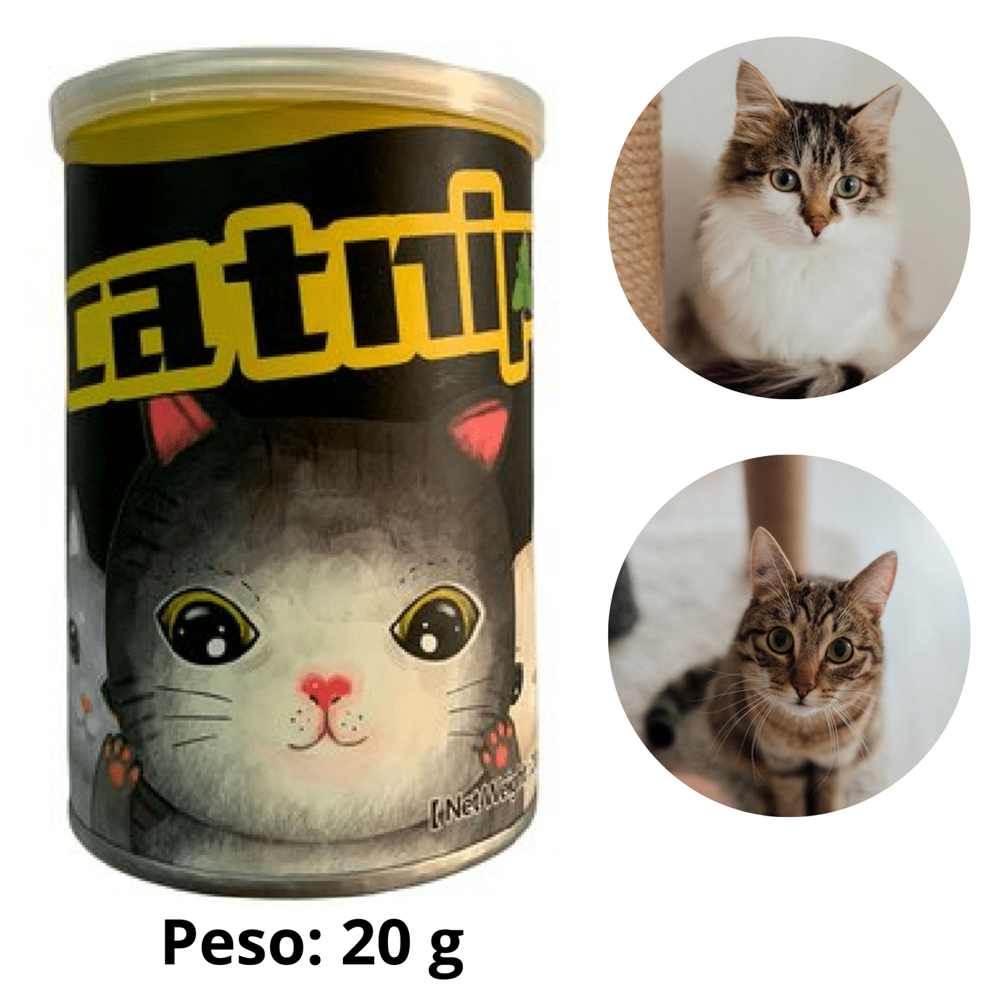 CATNIP EN LATA x 20 g