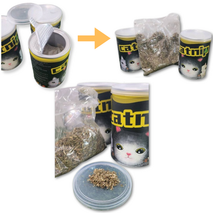 CATNIP EN LATA x 20 g