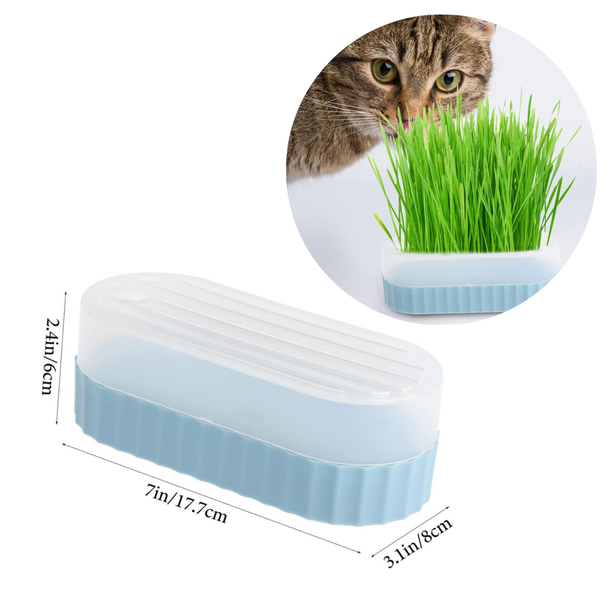 CAJA DE HIERBA GATERA MACETA PARA GATOS - CELESTE