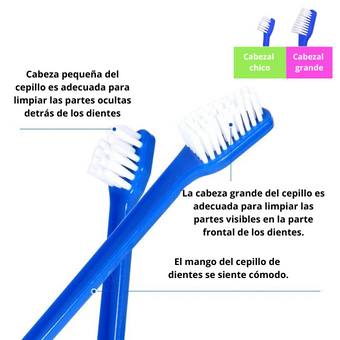 CEPILLOS DENTALES DOBLE CABEZAL (SET x  8)