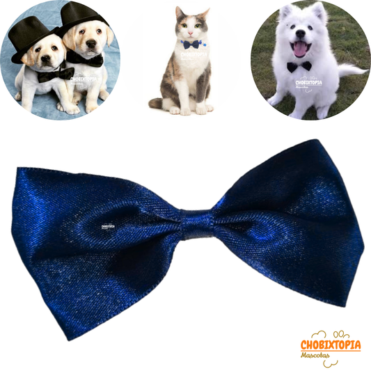 CORBATA MICHI PARA MASCOTA-PERRO GATO AZUL NOCHE-GRANDE