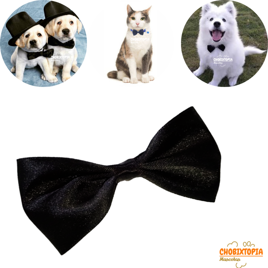 CORBATA MICHI PARA MASCOTA-PERRO GATO NEGRO-CHICO