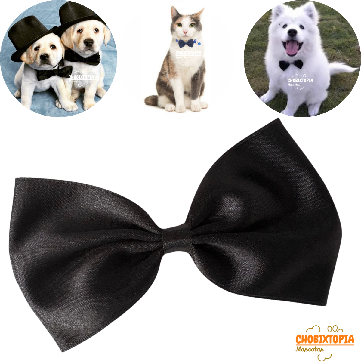 CORBATA MICHI PARA MASCOTA-PERRO GATO NEGRO-GRANDE