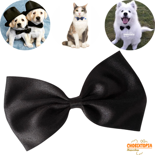 CORBATA MICHI PARA MASCOTA-PERRO GATO NEGRO-GRANDE