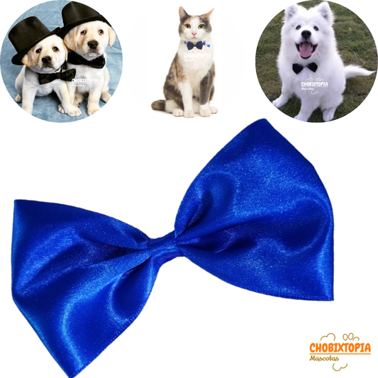 CORBATA MICHI PARA MASCOTA-PERRO GATO AZULINO-GRANDE