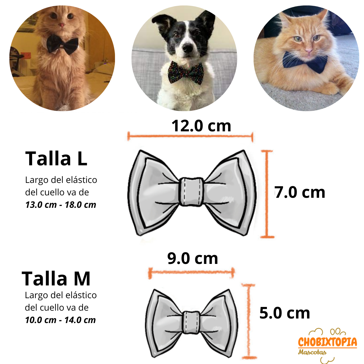CORBATA MICHI PARA MASCOTA-PERRO GATO PLATA-CHICO