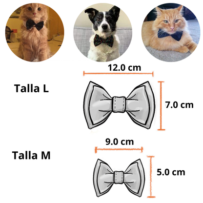CORBATA MICHI GRANDE AZULINO
