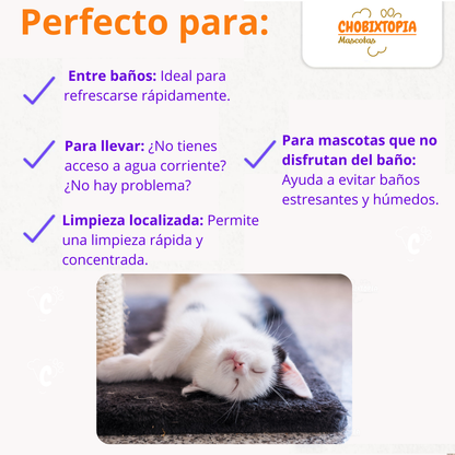 ESPUMA SHAMPOO FRUPPY HIPOALERGENICO GATOS x 300 mL