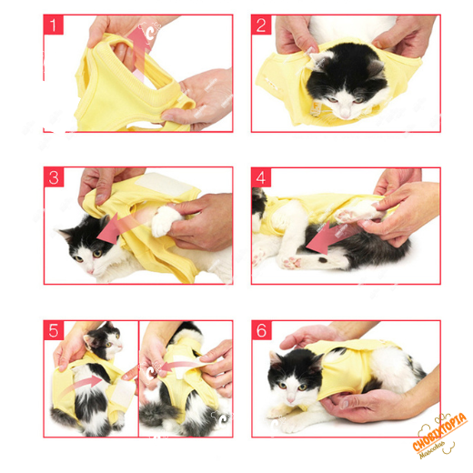 FAJA POST OPERATORIA PERROS Y GATOS - MELON