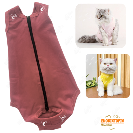FAJA POST OPERATORIA PERROS Y GATOS - PALO ROSA