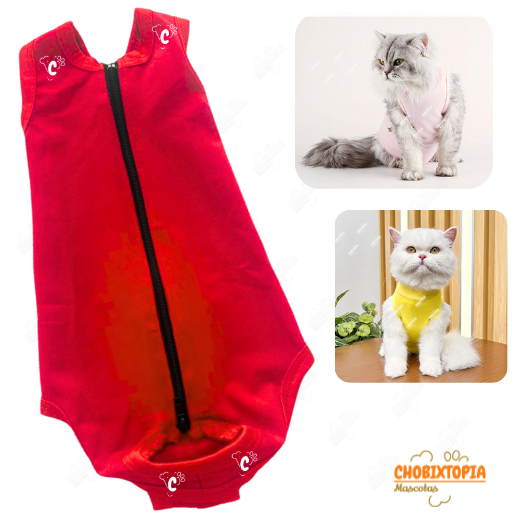 FAJA POST OPERATORIA PERROS Y GATOS - ROJA
