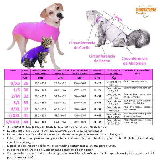 FAJA POST OPERATORIA PERROS Y GATOS - MELON