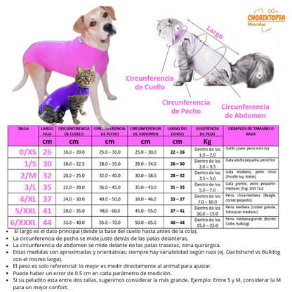 FAJA POST OPERATORIA PERROS Y GATOS - MELON