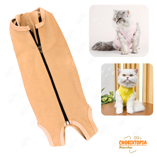 FAJA POST OPERATORIA PERROS Y GATOS - MELON