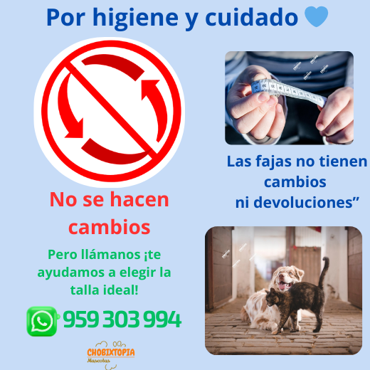 FAJA POST OPERATORIA PERROS Y GATOS - MELON