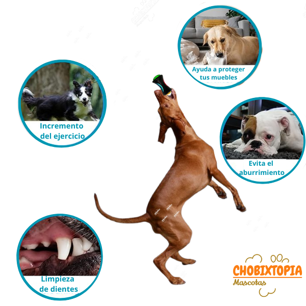 HUESO PARA PERROS LUCES LED