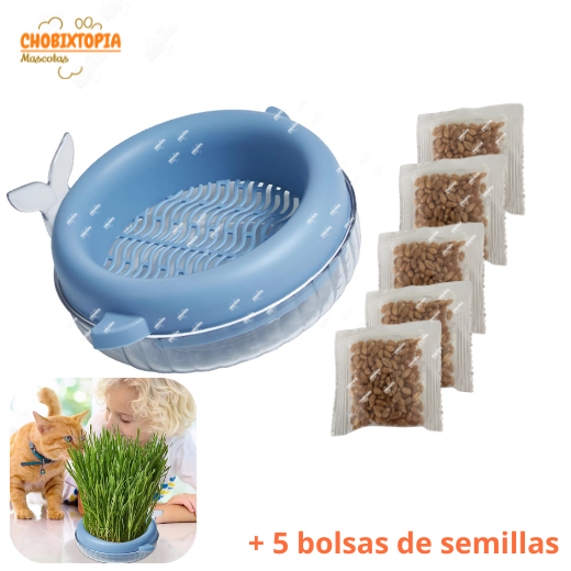 HIERBA GATERA MACETA BALLENA PARA GATOS - CELESTE