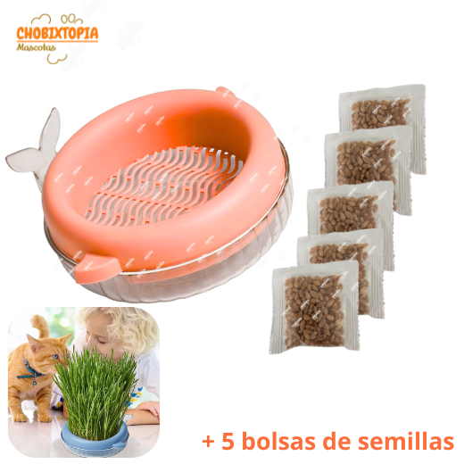 HIERBA GATERA MACETA BALLENA PARA GATOS - ROSA SALMON