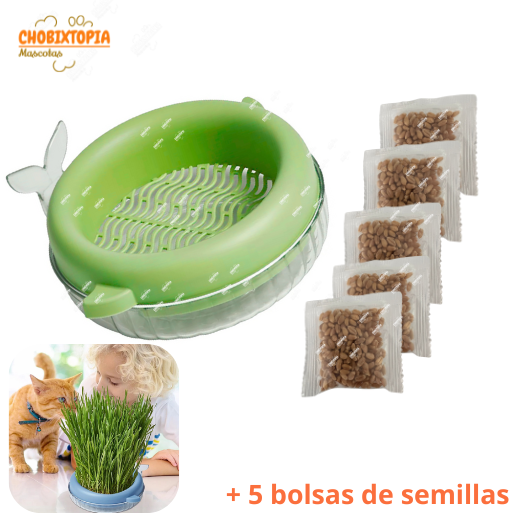 HIERBA GATERA MACETA BALLENA PARA GATOS - VERDE OLIVO