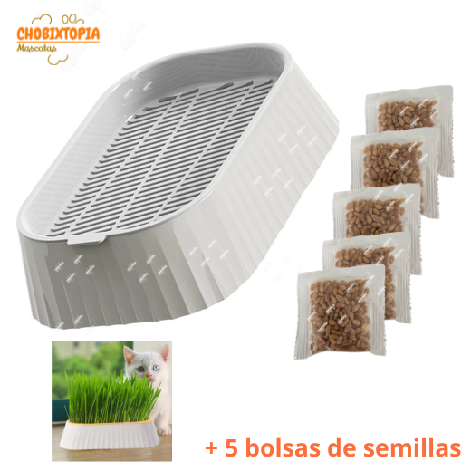 CAJA DE HIERBA GATERA MACETA PARA GATOS - GREY