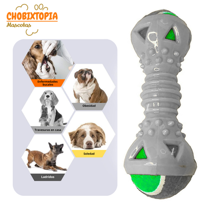 JUGUETE MANCUERNA DE GOMA CON PELOTA EXTRAIBLE PARA PERRO PLOMO