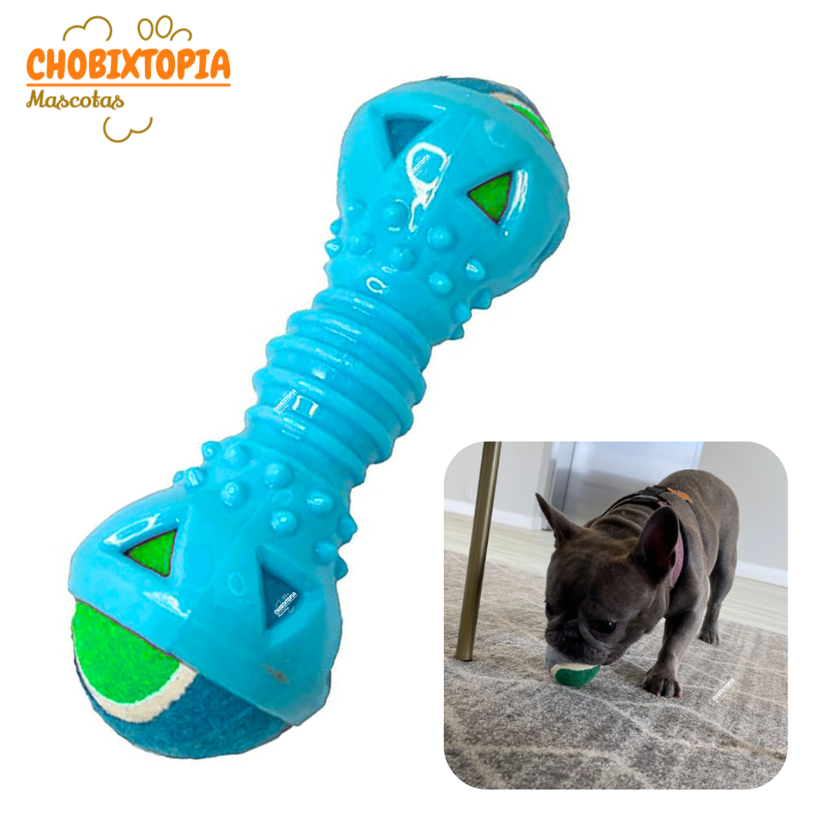 JUGUETE MANCUERNA DE GOMA CON PELOTA EXTRAIBLE PARA PERRO TURQUESA