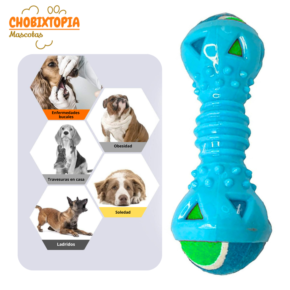 JUGUETE MANCUERNA DE GOMA CON PELOTA EXTRAIBLE PARA PERRO TURQUESA