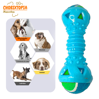 JUGUETE MANCUERNA DE GOMA CON PELOTA EXTRAIBLE PARA PERRO TURQUESA