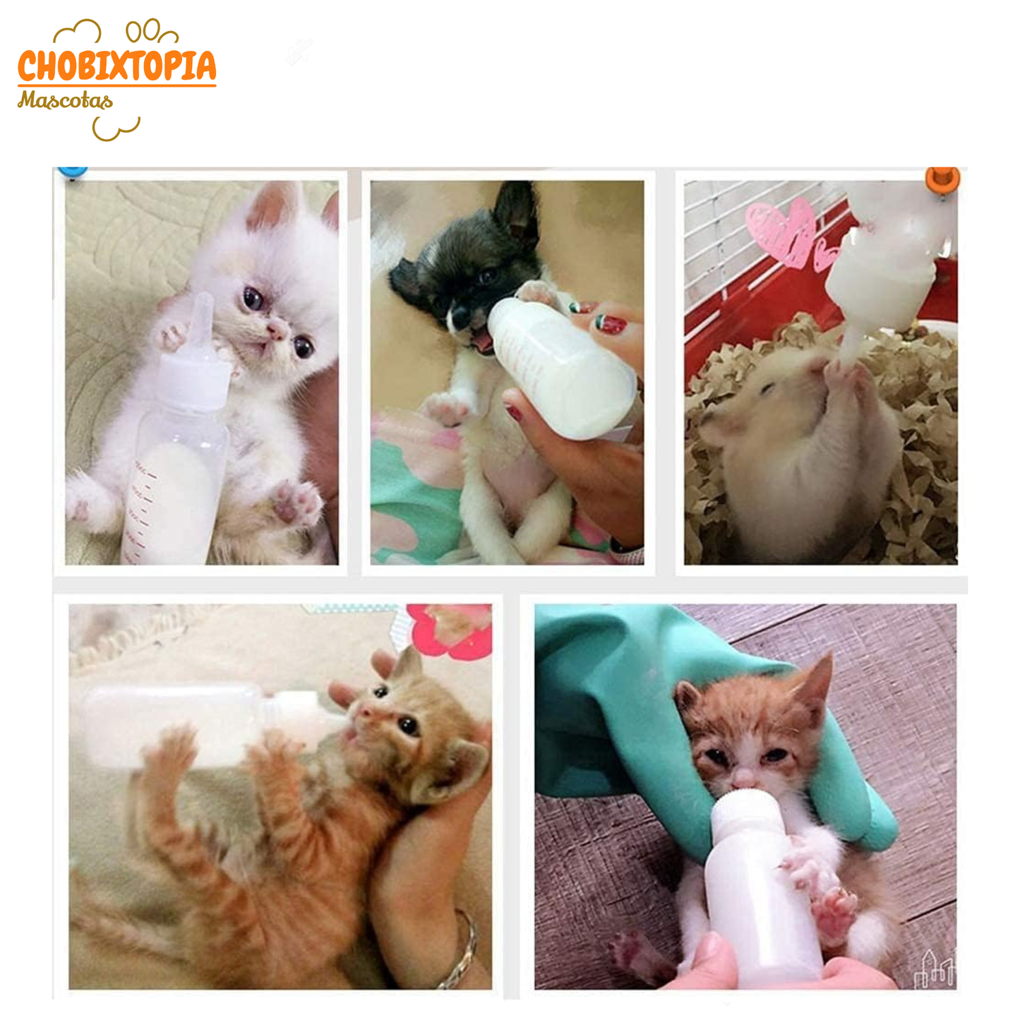 BIBERON KIT PARA MASCOTAS PERRO GATO x 50 mL - VERDE (1.7oz)