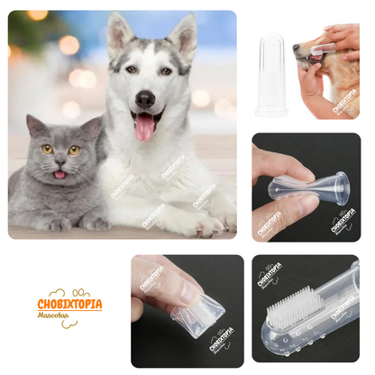 KIT DE LIMPIEZA DENTAL PARA MASCOTA - PERROS Y GATOS