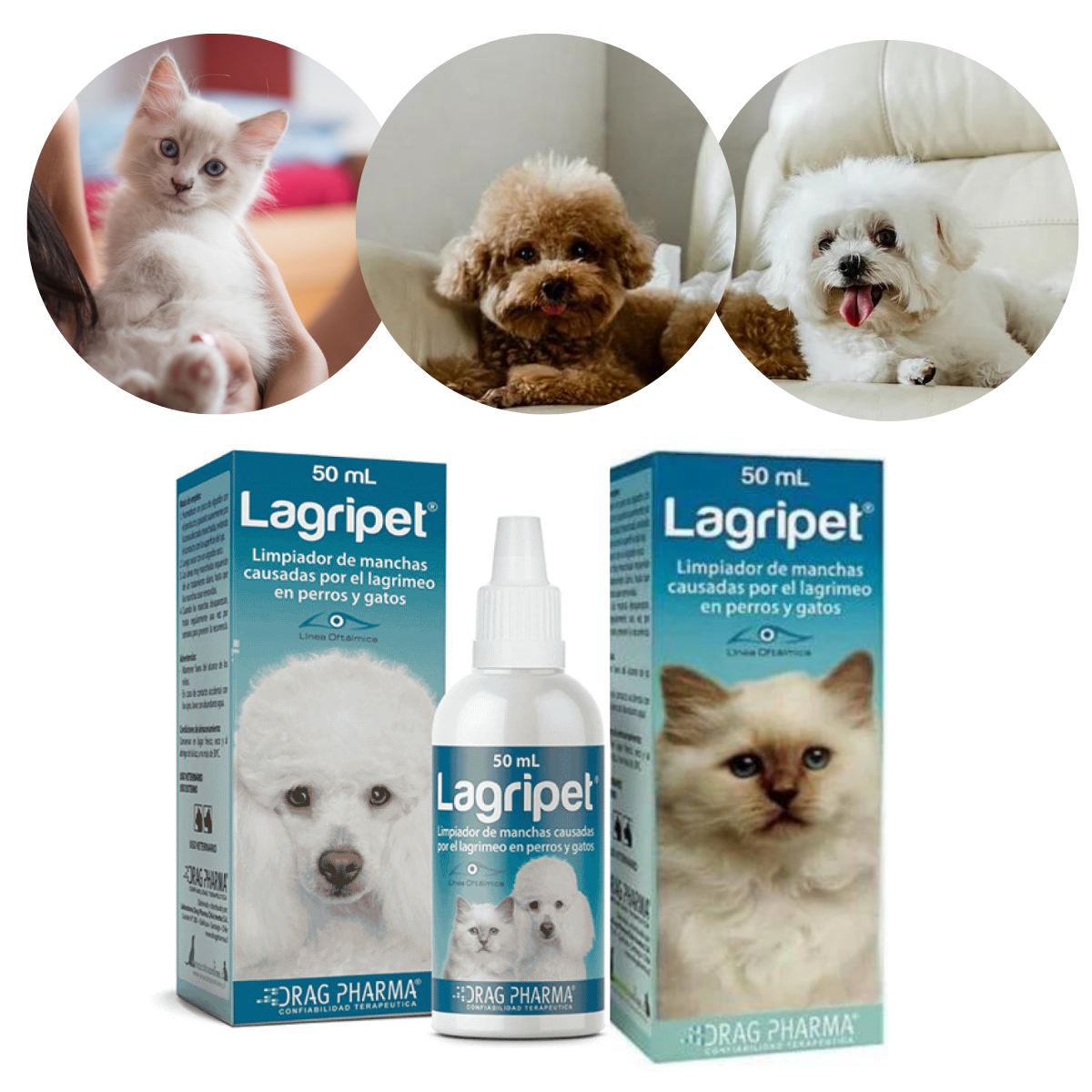 LAGRIPET- REMOVEDOR DE MANCHAS CAUSADAS POR LAGRIMAS 50 mL