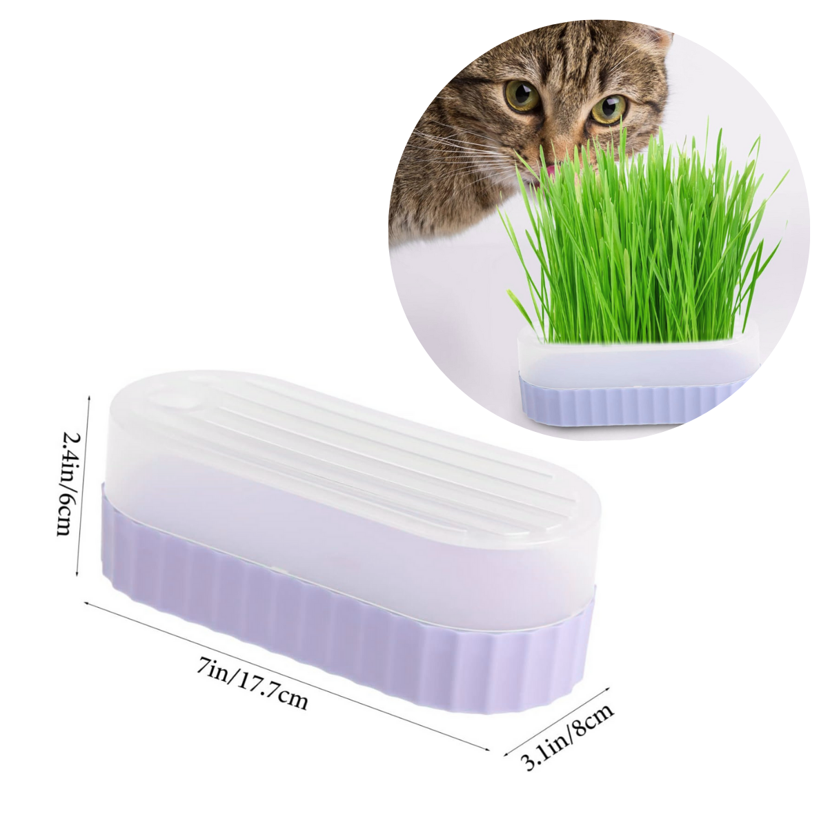 CAJA DE HIERBA GATERA MACETA PARA GATOS - LILA