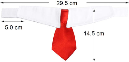 CORBATA DE CUELLO AJUSTABLE PARA FIESTA (ESTRELLAS)