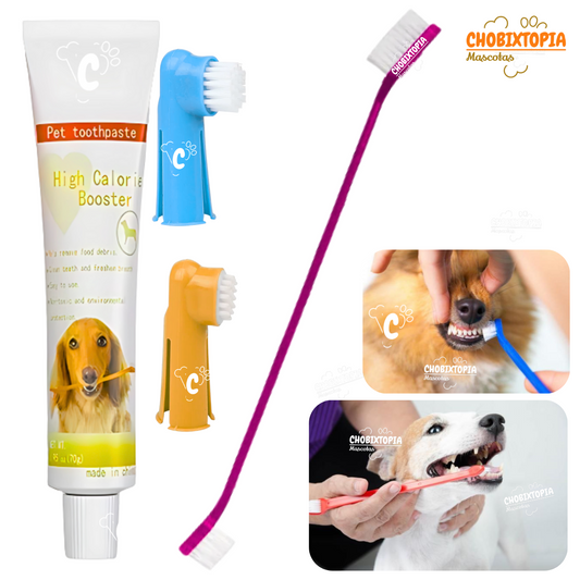PASTA DENTAL PARA PERROS Y MASCOTAS KIT-4 FUCSIA - PET SHOW